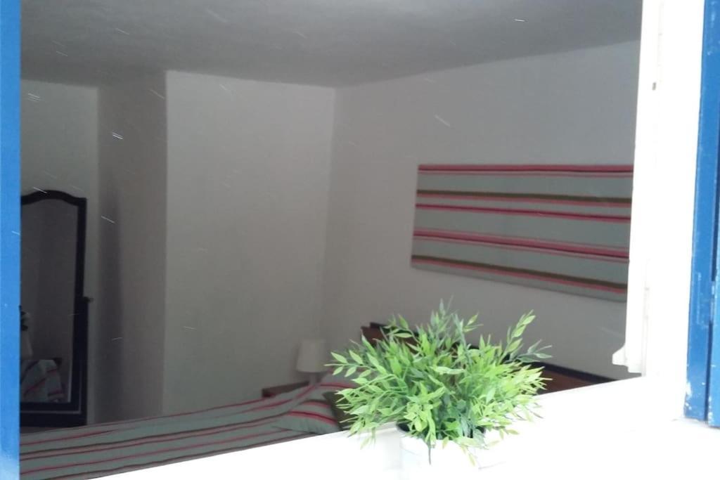 Apartment Spacious Family Garden *