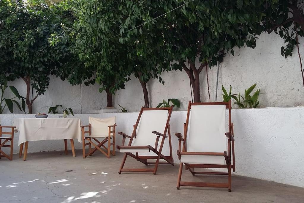 Spacious Family Garden *